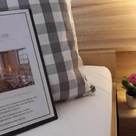 Seelbacher Hof 2* ヘルボルン