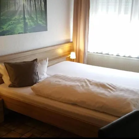 Seelbacher Hof Hotel 2*