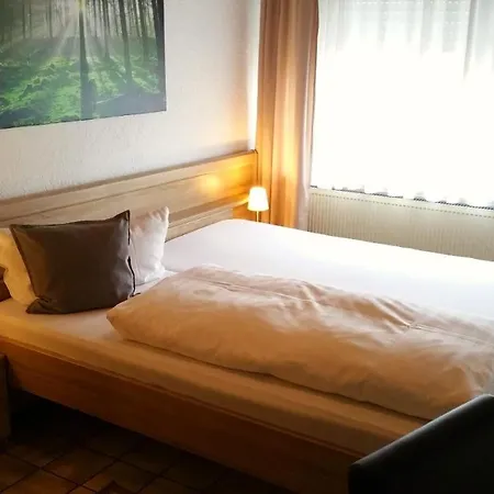 ホテル Seelbacher Hof