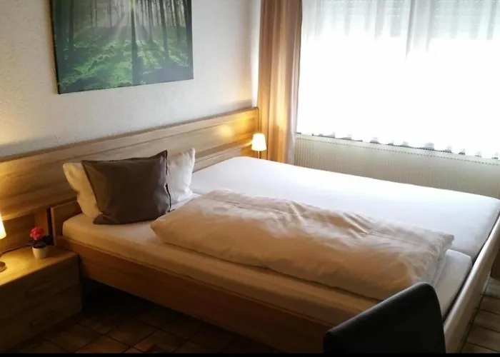 Seelbacher Hof Hotel 2*