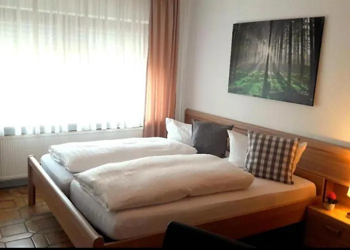 Hotel Seelbacher Hof 2*