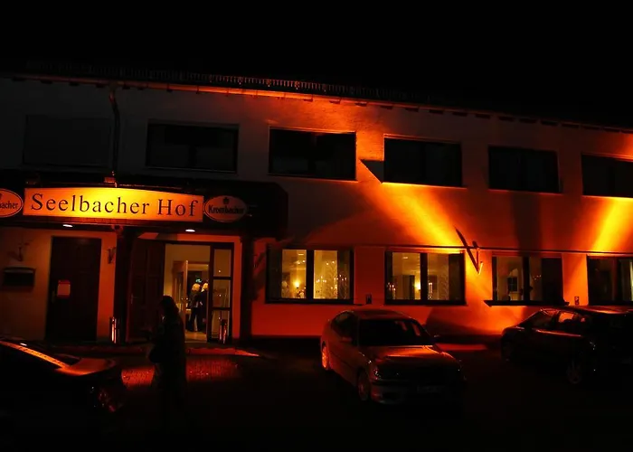 Hotel Seelbacher Hof 2*